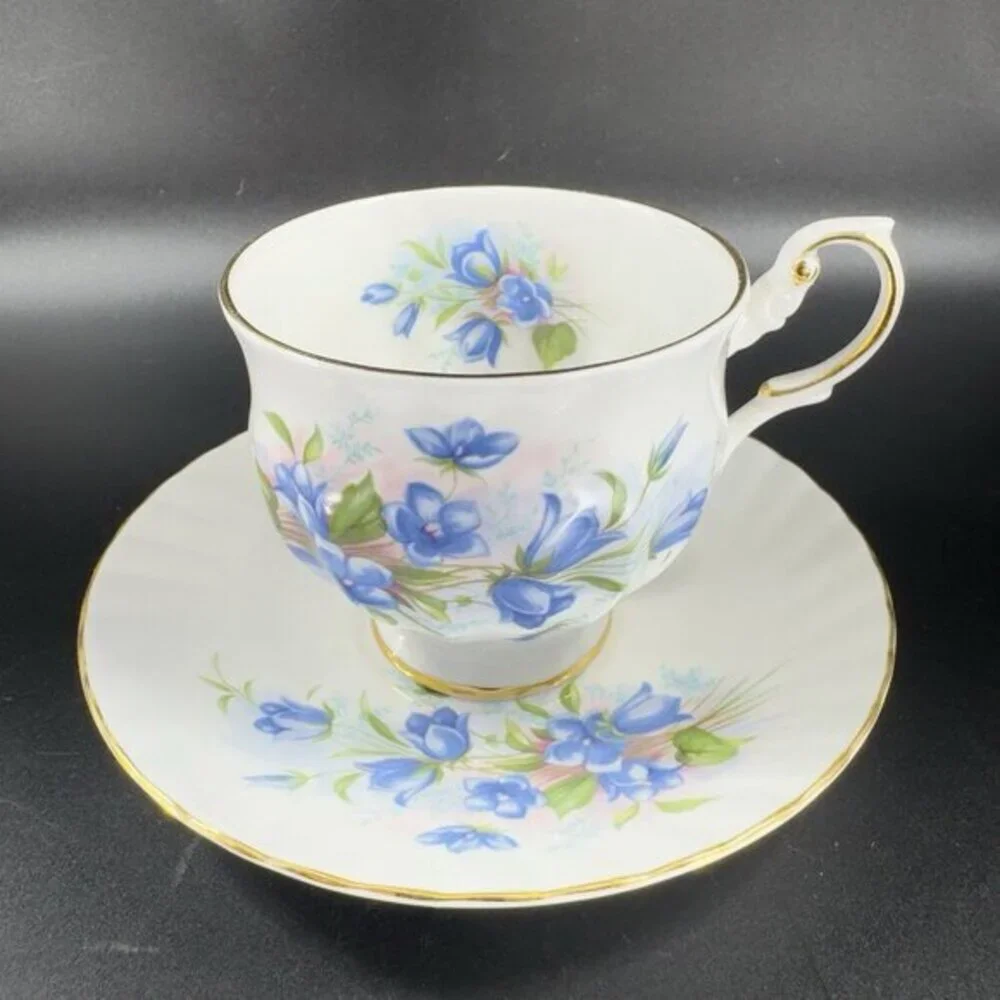 Queens Rosina China Co Blue Flowers‎ Teacup Saucer Set Porcelain Vintage England